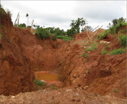 Pits dug by artisanal miners at Latin American Minerals' Paso Yobai gold project in Paraguay, photographed in 2008. Photo by Alisha Hiyate