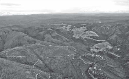 An aerial view of Golden Predator's flagship Brewery Creek gold project in the Yukon. Photo by Ian Bickis