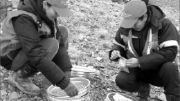 Mongolian geologists preparing soil samples for geochemistry analysis at Kincora Copper's Bronze Fox copper-gold project in Mongolia. Photo by Kincora Copper