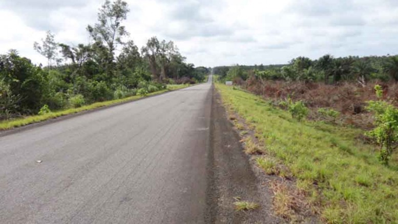 Road access to Aureus Mining's New Liberty gold project, 90 km northwest of Monrovia, Liberia. Photo by Aureus Mining