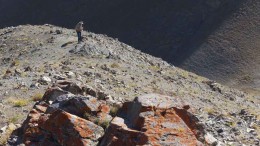 Geologist David Bond exploring Altan Rio Minerals' Chandman-Yol copper-gold project in western Mongolia. Photo by Altan Rio Minerals