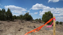 The discovery hole marker at NuLegacy's Red Hill gold project in Nevada. Photo by Ian Bickis