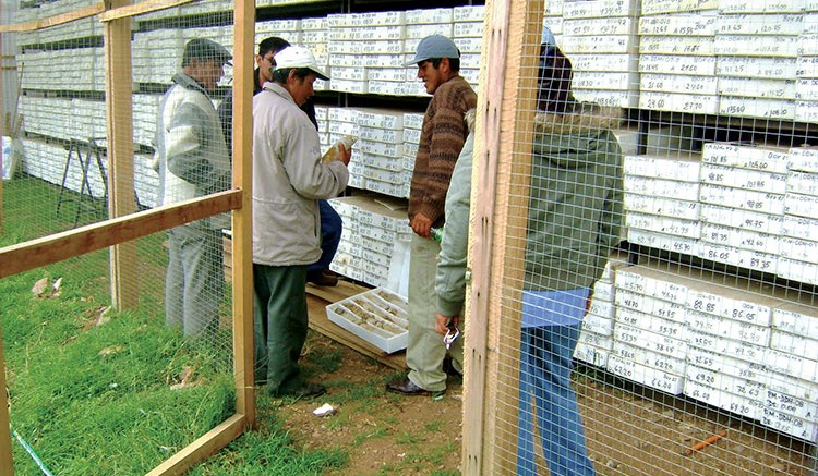 Workers at Stonegate Agricom's Montaro storage facility. Source: Stonegate Agricom