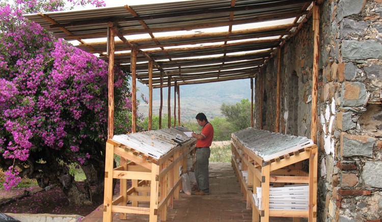 A worker studies drill core at Fortuna's San Jose mine in Mexico. Source: Fortuna Silver