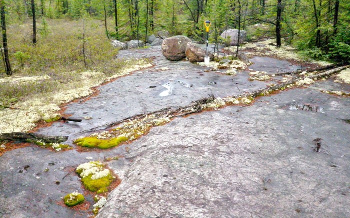 Lakeland Resources' Thorburn Lake uranium project in Saskatchewan's Athabasca basin. Photo by Becky Partridge