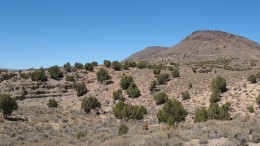 The landscape at Midway Gold's Pan gold project in Nevada. Source: Midway Gold