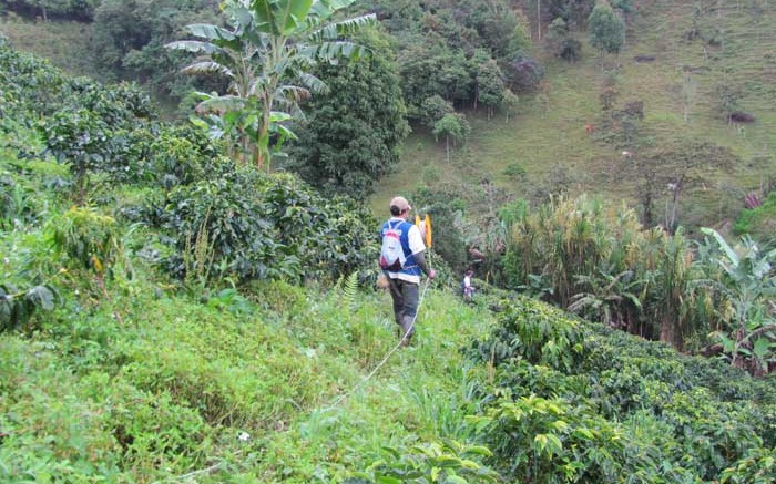 Bellhaven Copper & Gold's La Mina gold-copper project, 45 km southwest of Medellin, Colombia. Source: Bellhaven Copper & Gold