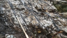 An example of multiple gold-bearing, quartz-tourmaline-pyrite veins in trondhjemite at Marathon Gold's Valentine Lake project, 57 km south of Buchans, Newfoundland and Labrador. Source: Marathon Gold