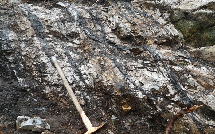 An example of multiple gold-bearing, quartz-tourmaline-pyrite veins in trondhjemite at Marathon Gold's Valentine Lake project, 57 km south of Buchans, Newfoundland and Labrador. Source: Marathon Gold