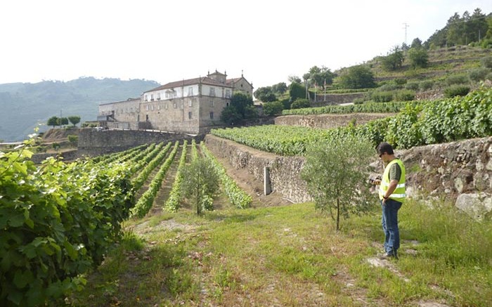 A worker locates a drill site near a vineyard and convent at the Tabuaco tungsten project in Portugal, 100 km southeast of Porto. Source: Colt Resources