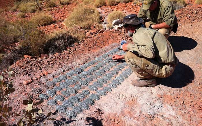 Geologists study drill cuttings at the Beatons Creek gold project in western Australia (2012). Source: Novo Resources