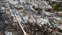 Multiple gold bearing quartz-tourmaline-pyrite veins in trondhjemite at the Marathon's 100%-owned Valentine Lake property. Credit: Marathon Gold