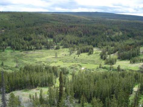 Taseko Mines' New Prosperity copper-gold project near Williams Lake, B.C. Credit: Taseko Mines