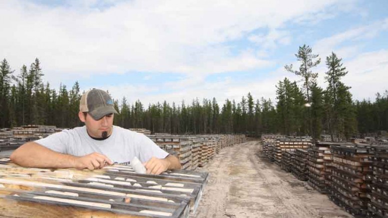 Senior project geologist Chad Sorba examines core samples at Denison Mines' Wheeler River uranium project in northern Saskatchewan's Athabasca basin. Credit: Denison Mines