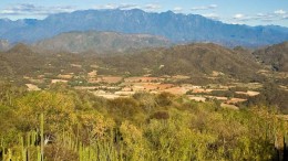 McEwen Mining's El Gallo 2 silver-gold mine site in Sinaloa, Mexico. Credit: McEwen Mining