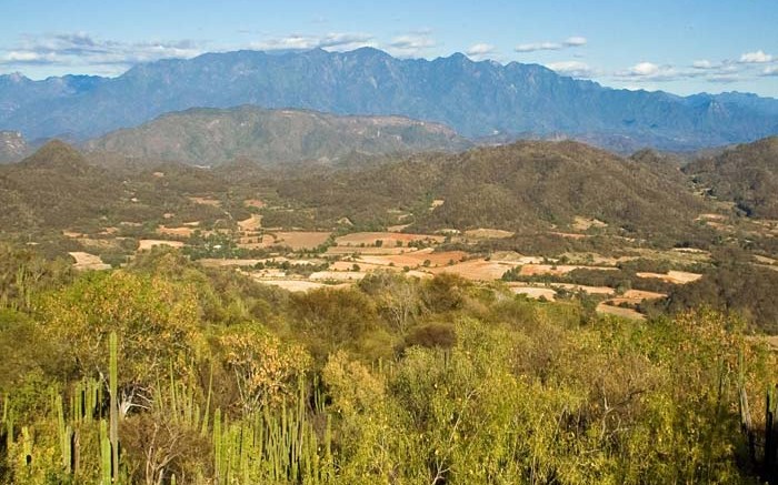 McEwen Mining's El Gallo 2 silver-gold mine site in Sinaloa, Mexico. Credit: McEwen Mining