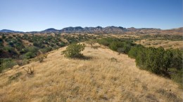 Augusta Resource's Rosemont copper project, 50 km southeast of Tucson, Arizona. Credit: Augusta Resource