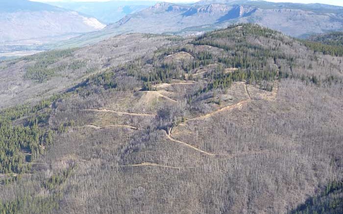 The Star exploration targets at Prosper Gold's Sheslay copper property, 105 km southwest of Dease Lake, B.C. Credit: Prosper Gold