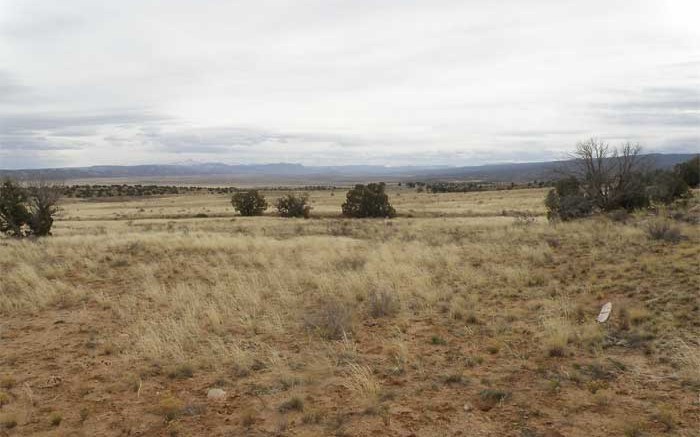 UEC's Slick Rock uranium project in Colorado. Credit: Uranium Energy