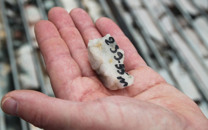 A drill sample showing visible gold at Roxgold's Yaramoko property in Burkina Faso. Credit: Roxgold