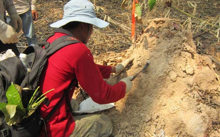 A Cambodian geologist collects a sample from a termite mound at the Phum Syarung gold property in Cambodia, where Angkor Gold holds a net smelter return royalty after selling the project to Mesco Gold. Credit: Angkor Gold