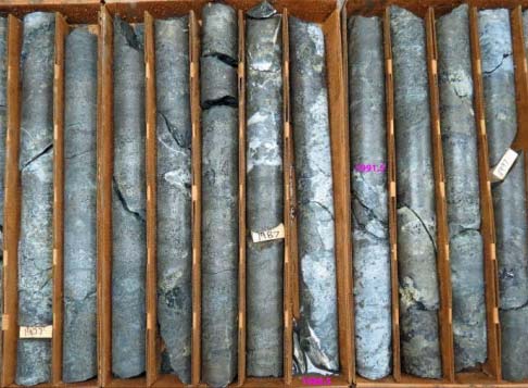 Drill core from the 2201 Zone at Premier Gold Mines' Cove project in Nevada. Credit:  Premier Gold Mines