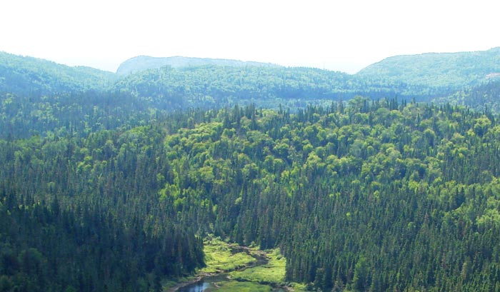 Stillwater Mining's Marathon platinum-palladium-copper project in Ontario. Credit: Stillwater Mining