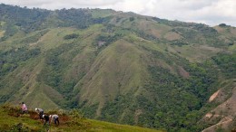 Red Eagle Mining workers building a drill pad at the Pavo Real gold project in Colombia in 2012. Photo by The Northern Miner.