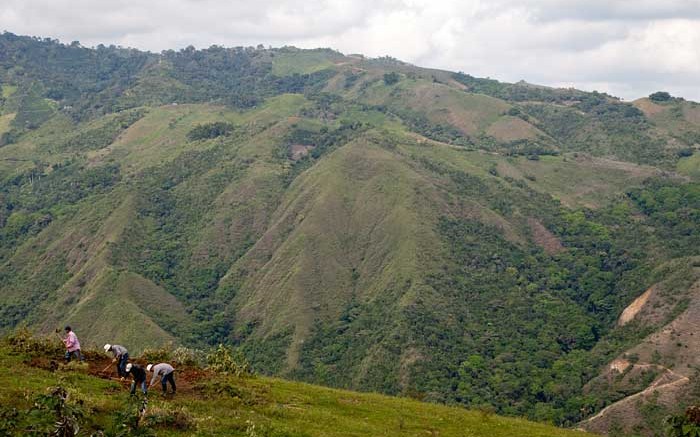 Red Eagle Mining workers building a drill pad at the Pavo Real gold project in Colombia in 2012. Photo by The Northern Miner.