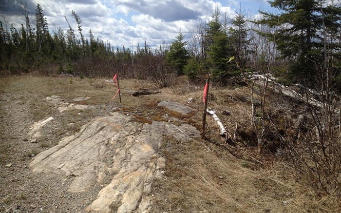 Flags mark historic drill holes at Oban Mining's Miller gold project, 18 km southeast of Kirkland Lake, Ontario. The outcrop shows an aphanitic syenite dyke (foreground), with intruding (darker) meta-basalts to the right. Source: Oban Mining