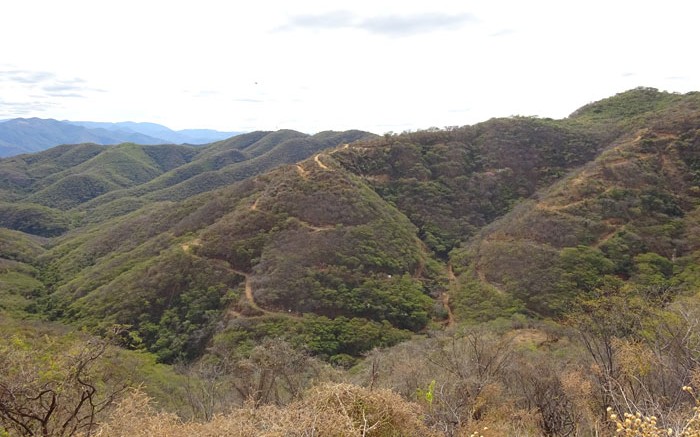 The Ana Paula gold property in Guerrero, Mexico. Credit: Timmins Gold