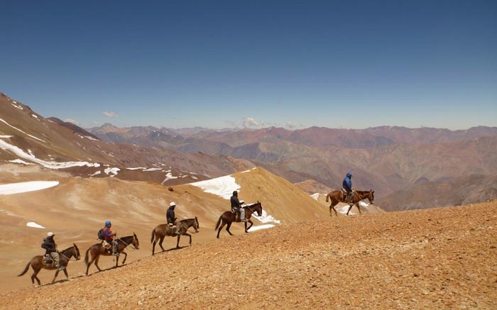 Barrick Gold geologists travelled by donkey during the early stages of exploration at the Alturas gold project in Chile.Credit:  Barrick Gold