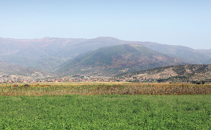 The hill where Euromax Resources' Ilovica copper-gold porphyry lies, beyond the villages of Ilovica and Shtuka in Macedonia.Credit: Euromax Resources