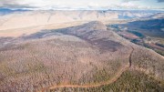 An aerial view of the road connecting camp to the main drill sites at the Coffee gold project in the Yukon's White Gold district. Source: Kaminak Gold.