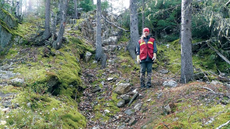 Assistant project geologist Ashley Durham beside a century-old trench on the 007 vein at Rockcliff's Laguna gold property, 20 km southeast of Snow Lake, Manitoba. Rockcliff has collected high-grade gold, silver and zinc samples from the trench. Credit: Rockcliff Metals.