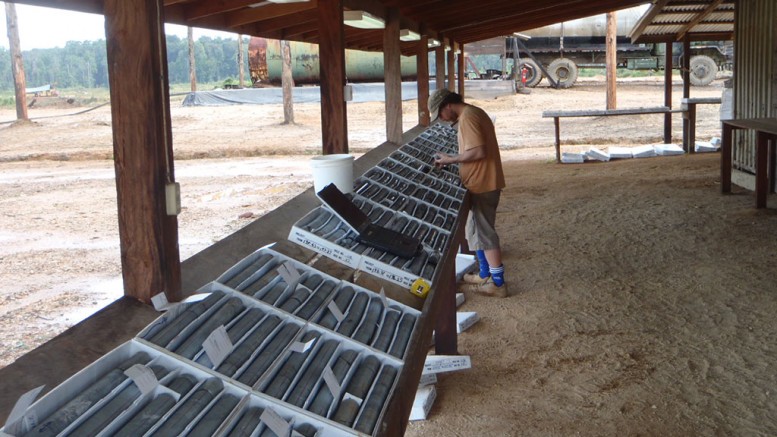 Logging core at Sandspring Resources' Toroparu gold project in Guyana. Credit: Sandspring Resources.