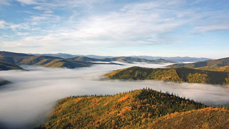 A foggy day in the Yukon’s White Gold district.  Photo by Shawn Ryan.