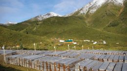 Drill core at Atac Resources' Rackla gold project. Credit: Atac Resources.