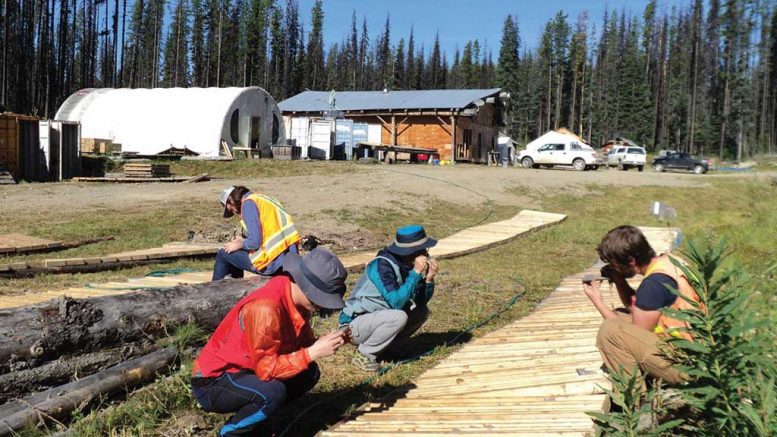 Project geologist Cole Godrey (far right) and Daewoo representatives examine core at the Kwanika copper-gold project, 250 km east of Smithers, British Columbia. Credit: Serengeti Resources.