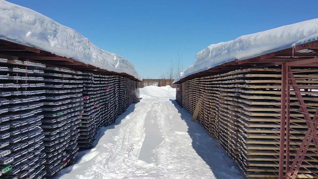 Drill core racks at Aurvista Gold’s Douay gold project in Quebec. Credit: Aurvista Gold.