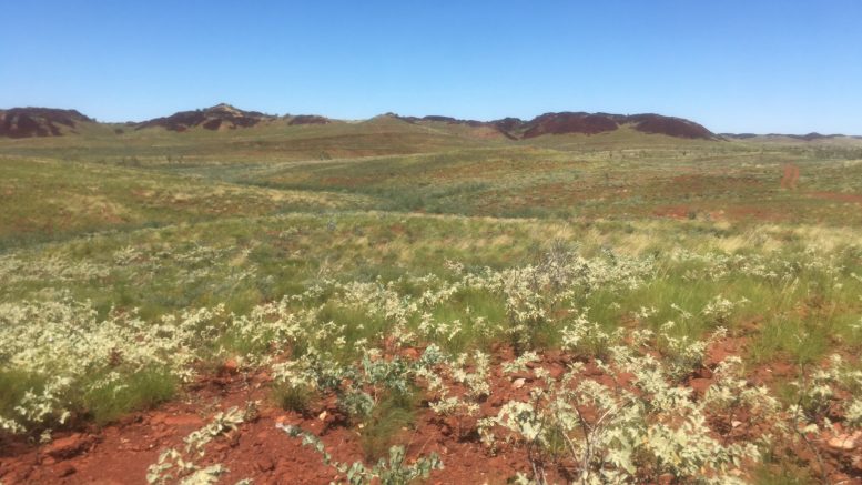 Novo Resources and Artemis Resources' Purdy's Reward and Comet Wells paleoplacer gold projects in Western Australia. Credit: Novo Resources.