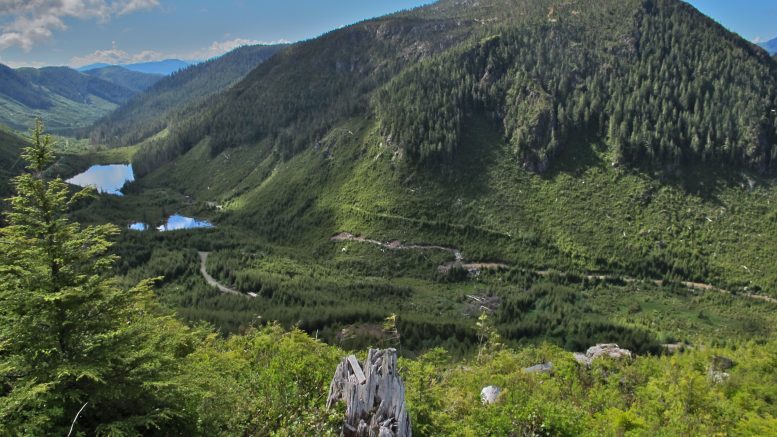 Looking southeast from the Hushamu deposit at the North Island copper-gold project on Vancouver Island, B.C. Credit: NorthIsle Copper and Gold.