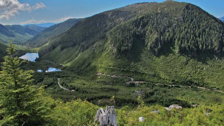 The Hushamu deposit at NorthIsle Copper and Gold’s North Island copper-gold project near the town of Port Hardy in the northern reaches of Vancouver Island, British Columbia. Credit: NorthIsle Copper and Gold.