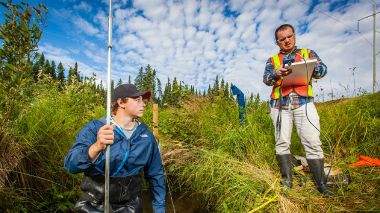 Treasury staff working on the Goliath gold site. Credit: Treasury.