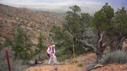 Project geologist Glen Adams works the Hackberry silver project 48 km due northeast of Kingman, Arizona. Credit: Bitterroot Resources.
