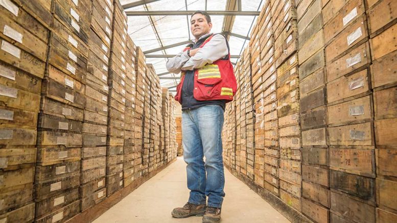 A worker in a core storage facility at the Fruta del Norte project. Credit: Lundin Gold