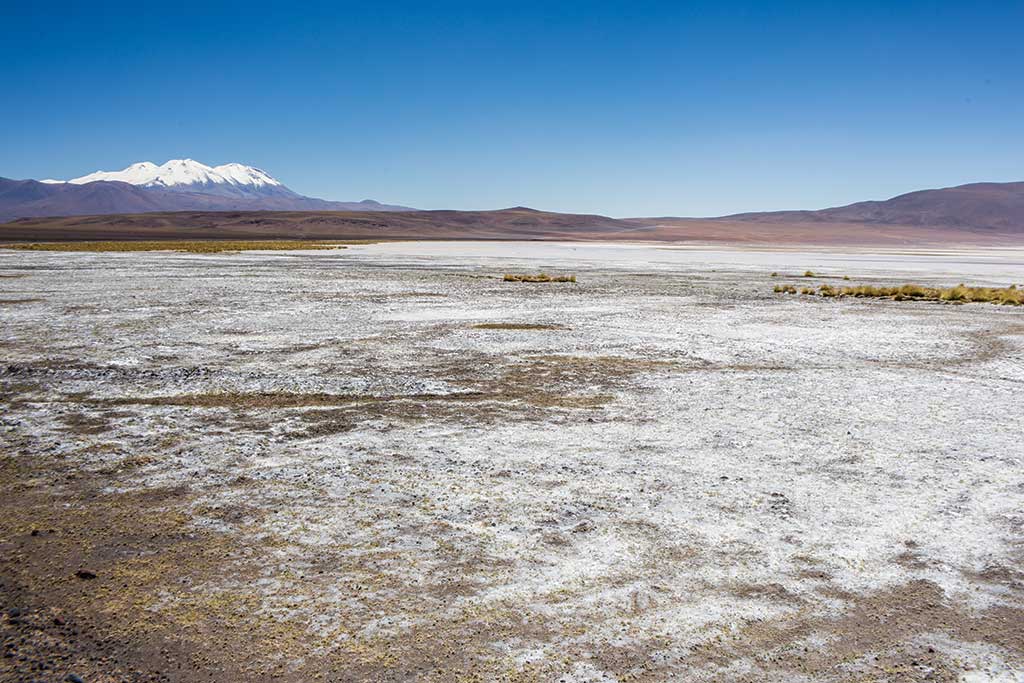 Lithium Chile’s exploration property. Credit: Lithium Chile.