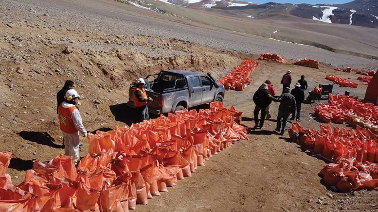 Workers and bagged samples at NGEx Resources’ Josemaria copper-gold project in Argentina. Credit: NGEx Resources.