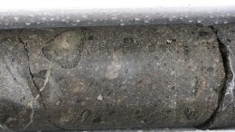 A kimberlite core sample from Lithoquest's recent drill campaign at its North Kimberley diamond project. Credit: Lithoquest Diamonds.