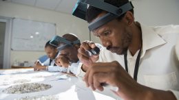 Sorting diamonds from Lucara Diamond's Karowe mine in Botswana. Credit: Lucara Diamond